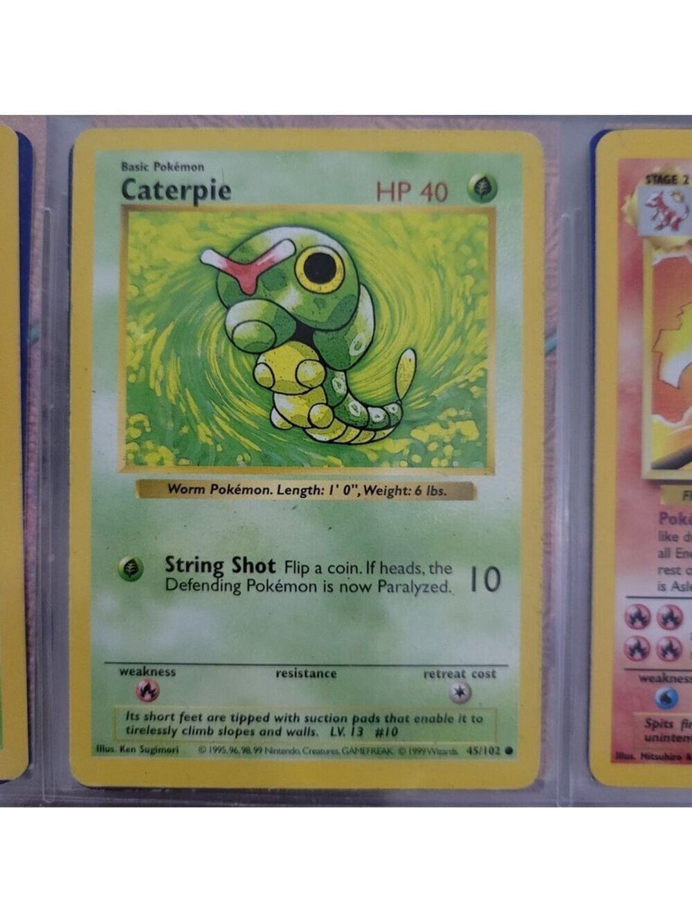 Pokemon Caterpie Card